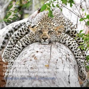 Meet your Posher, Petra